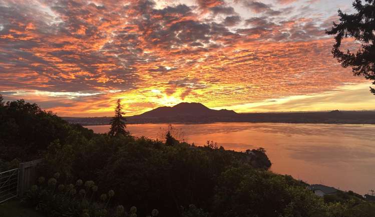 85 Mapara Road Acacia Bay_36