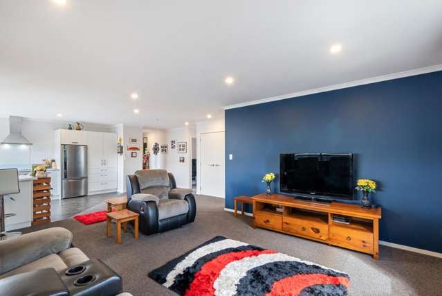2A Rutland Street Levin_2