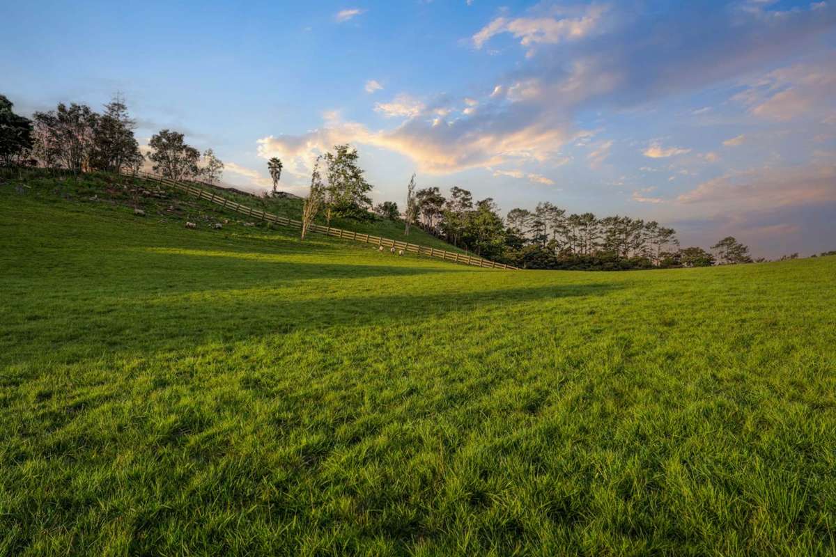 161 Waikoukou Valley Road_2