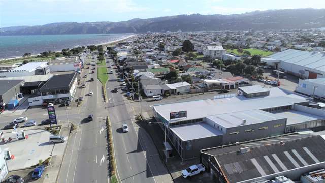 45 Waione Street Petone_1