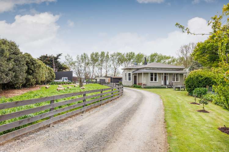 1027 Camerons Line Feilding_2