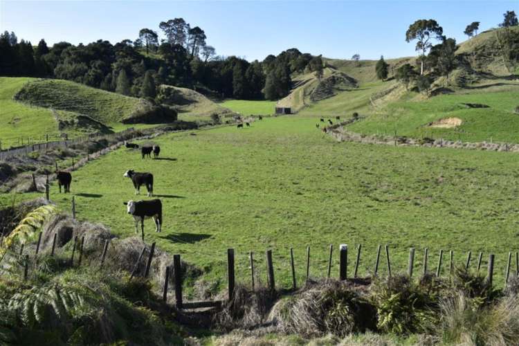 Lot 5/80 Ruatuna Road Waiotahi_5