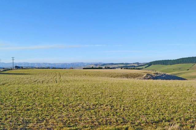 1377 Livingstone Duntroon Road North Otago Surrounds_4