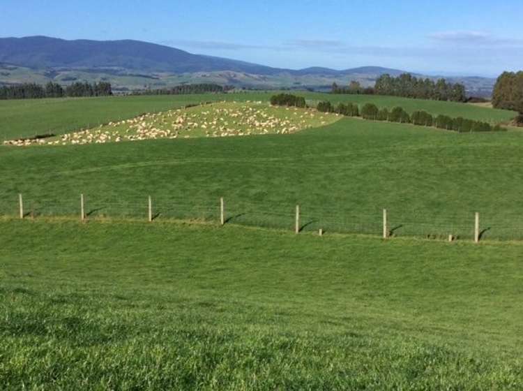 879 Clifden Highway Tuatapere_17