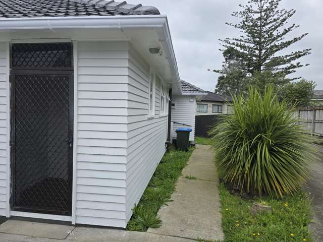 4 Welsh Street Mount Roskill_4