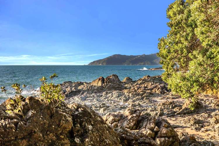 305 State Highway 10 Cable Bay_34