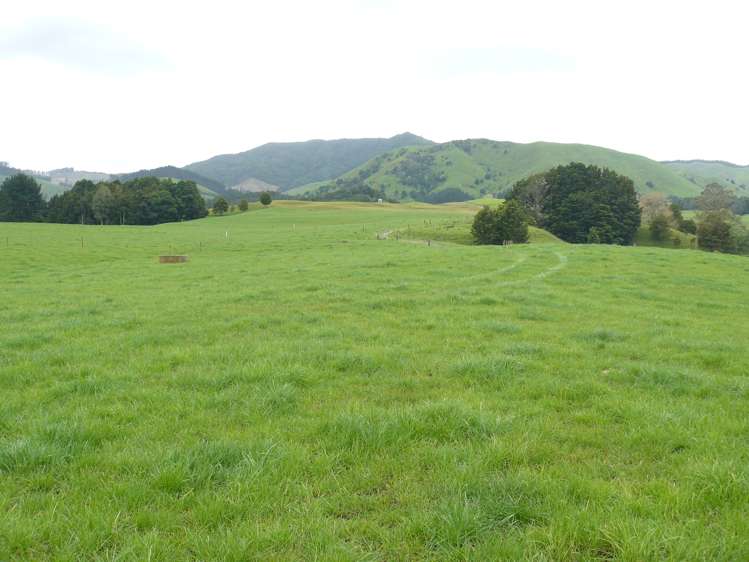 101 Pullin Road Ruatangata_10