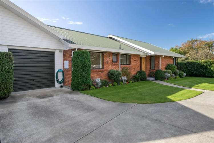 19a Tereice Street Witherlea_2