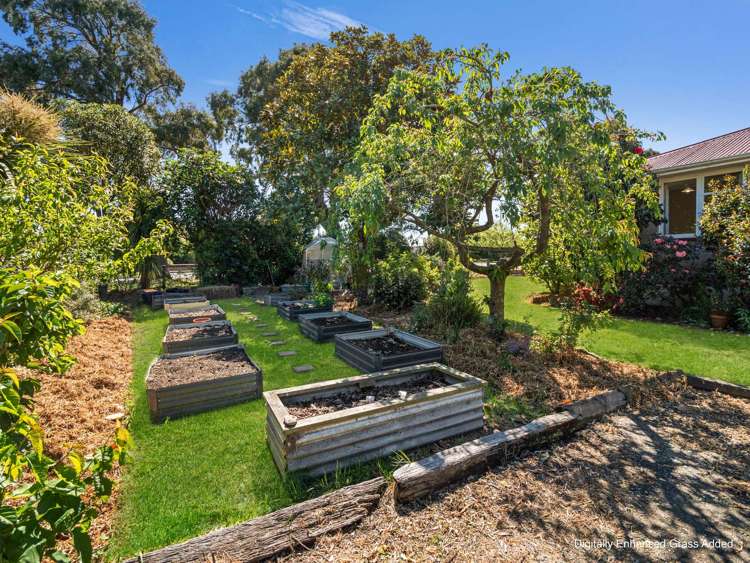 18 North Terrace Darfield_26