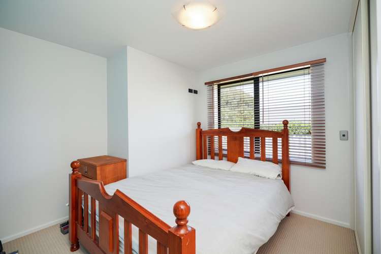 28 Majestic Chance Seaward Bush_13