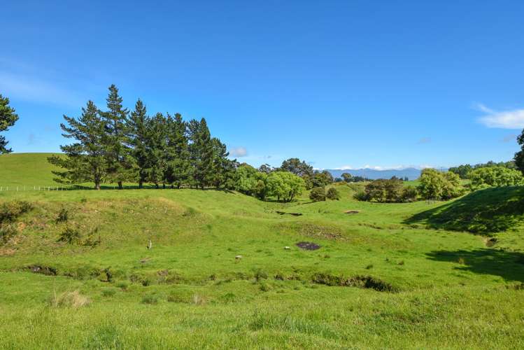 90 Millars Road Longbush_17