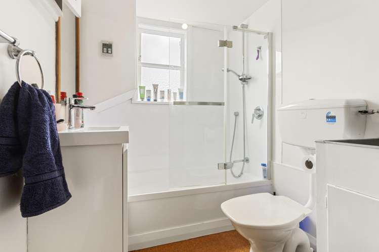 94 Pitt Street Wadestown_12
