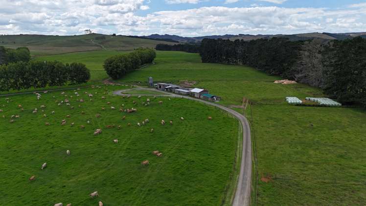 374 Rakauwahia Road Taheke_6