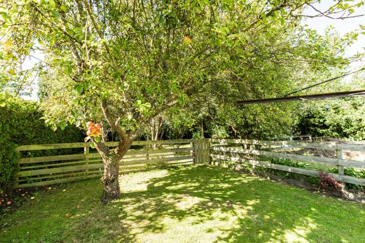 17 George Street Milton_29