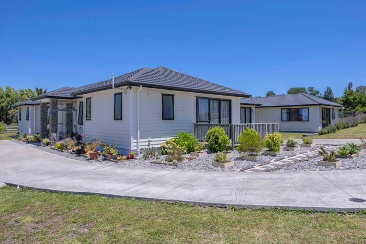 134 Postman Road Dairy Flat_9