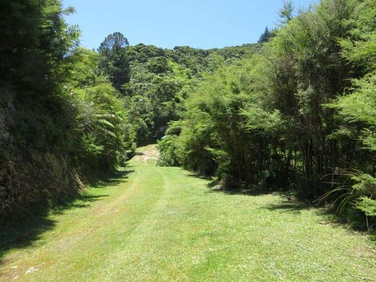 540 Edward Street Coromandel_2