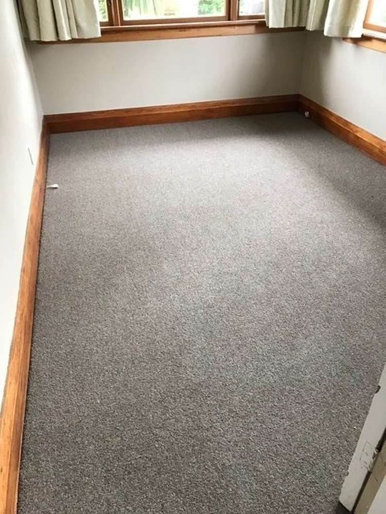 141 Forbury Road Saint Clair_15