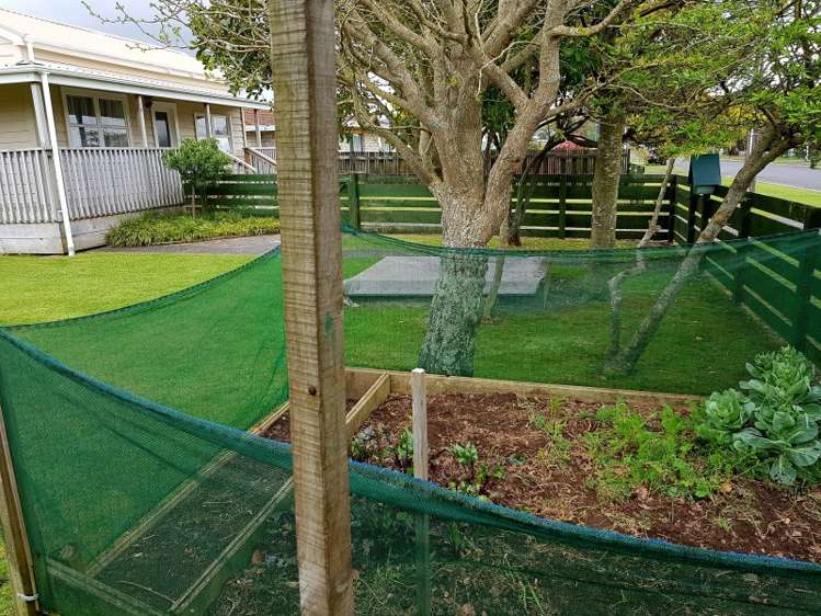 34 Amaranth Street Waihi_12