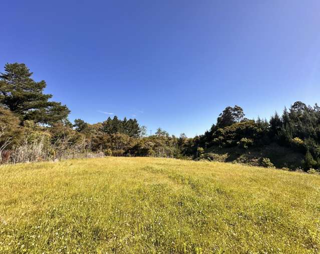 498 Seafield Road Puketapu_4