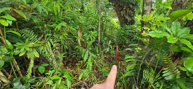 Address withheld Pacific Harbour_14