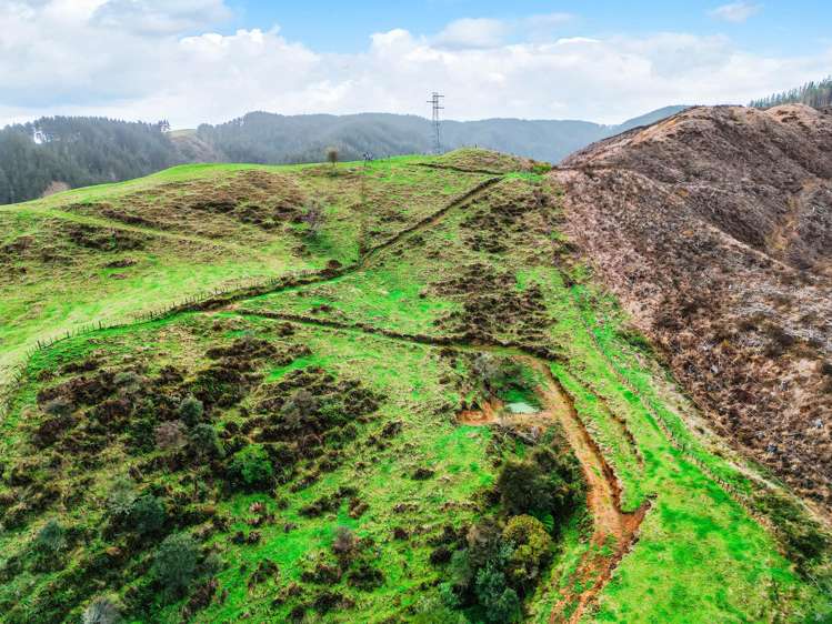 3789 State Highway 4 Ongarue_44