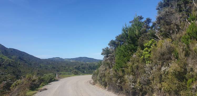 535 Craigie Lea Road Te Wharau_10