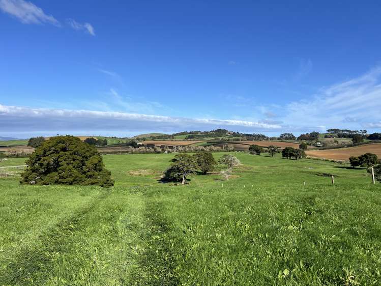 678 Waiuku Road Mauku_14