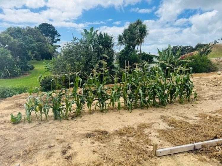 4217b Far North Road Pukenui_14