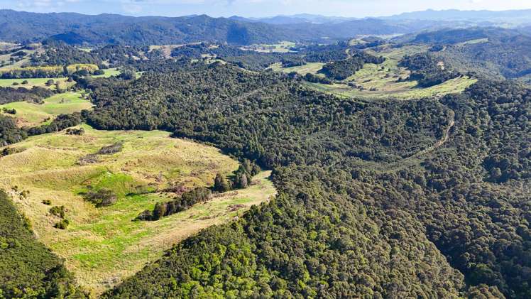 133 Te Ranga Road Kaeo_34