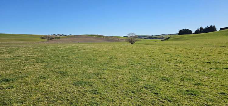 565 Bushy Park Road Waikaka_18