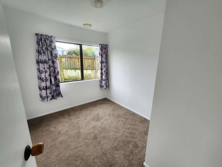 60 Tony Segedin Drive Avondale_6