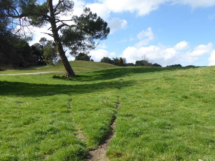 1278 Poihipi Road Oruanui_4