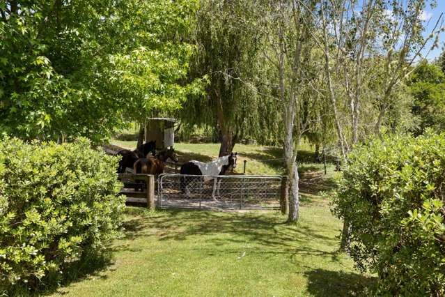 18/306 Oneriri Road Kaiwaka_4