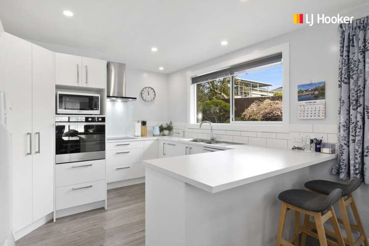 103 Tomahawk Road Andersons Bay_9