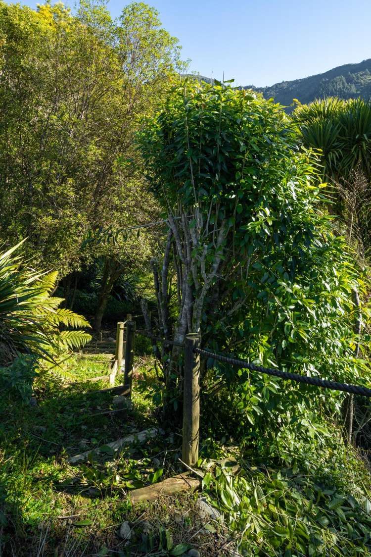 158 Wakamarina Road Havelock_21