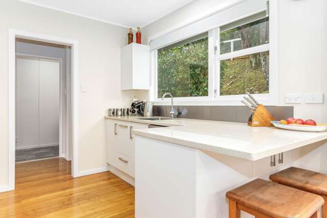 84 Chelmsford Street Ngaio_4