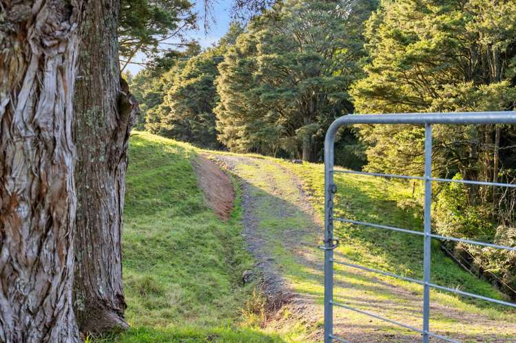 389A Crane Road Kauri_6