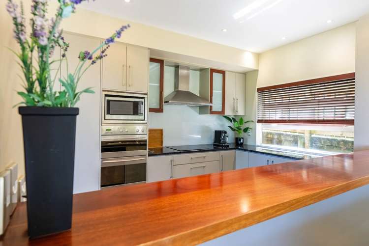 65 Frederick Street Hillsborough_5