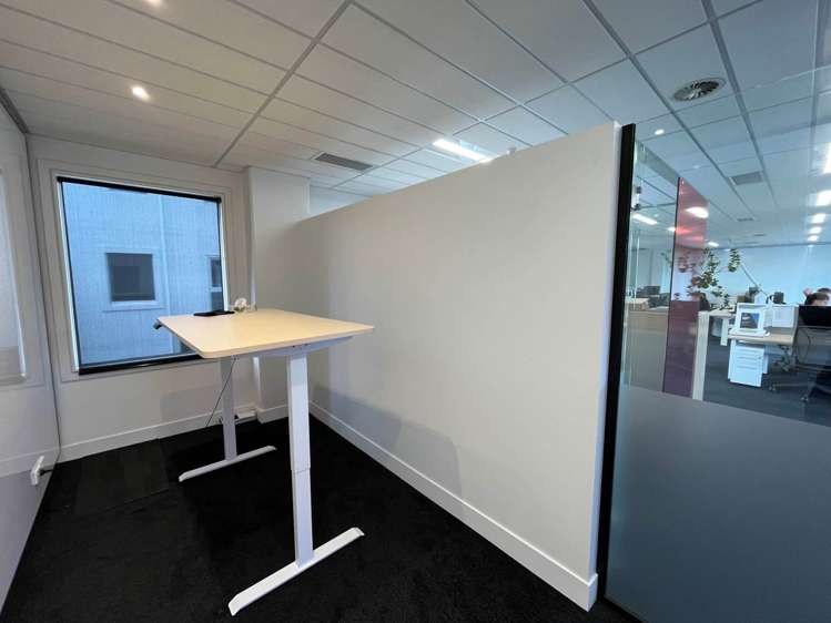 7 Falcon Street Parnell_9