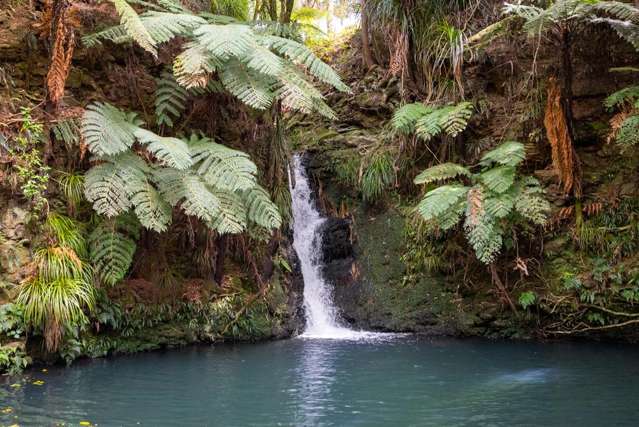 Incredible Hidden Oasis 3.5km from Town