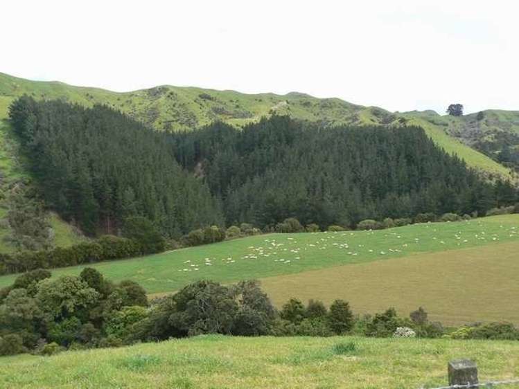 357 Summerhill Road Hinakura_0