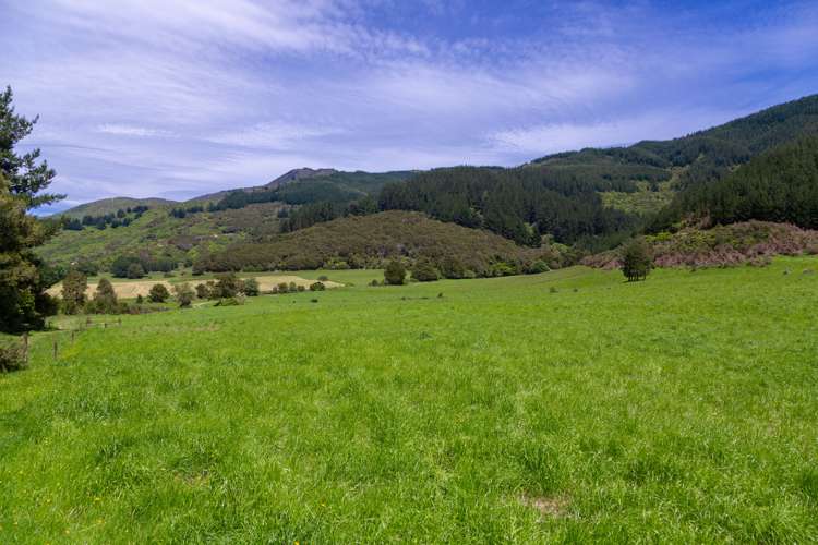 349 Anakiwa Road Anakiwa and Surrounds_10