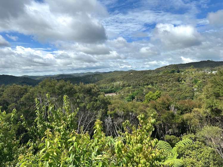 31 Goffe Drive Haruru_11