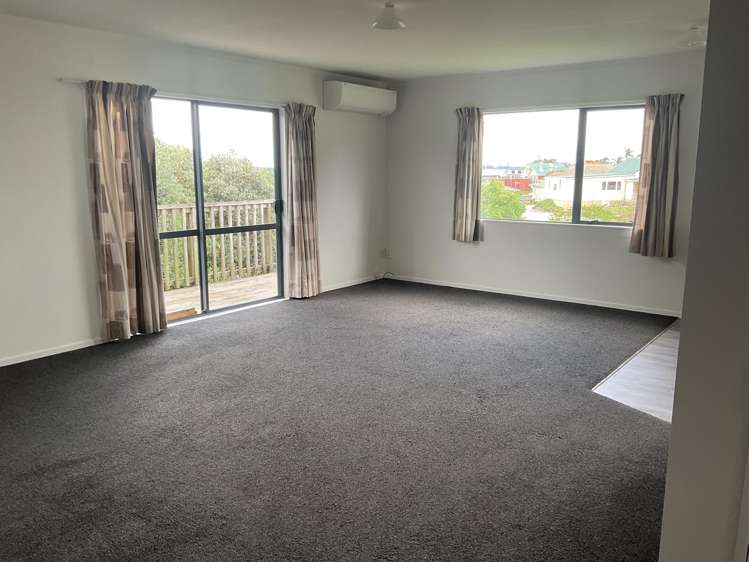 255 Rodney Street Wellsford_14