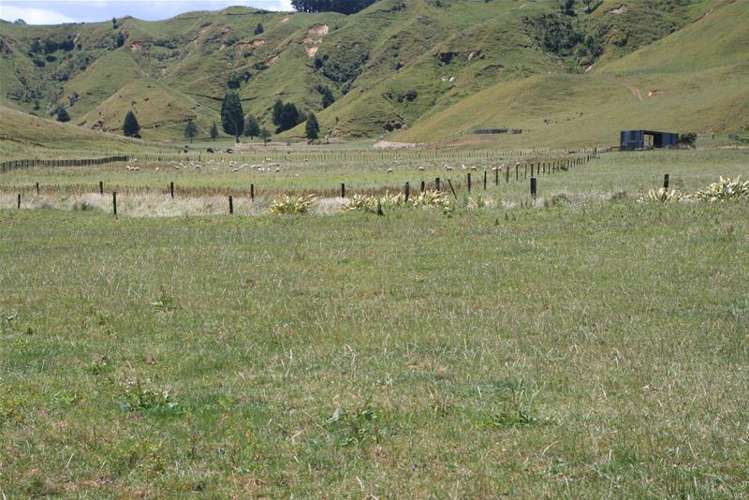 Walter Road Douglas_19