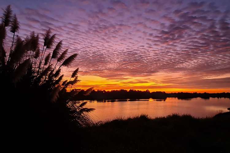 25 Pohutukawa Drive Athenree_28