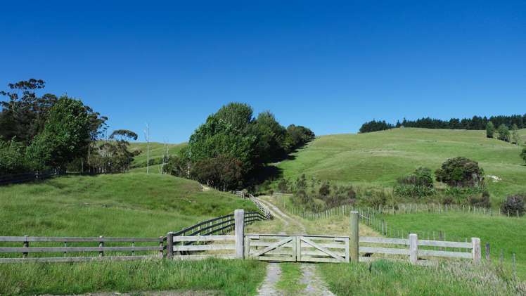 Monowai Road Wainui_8