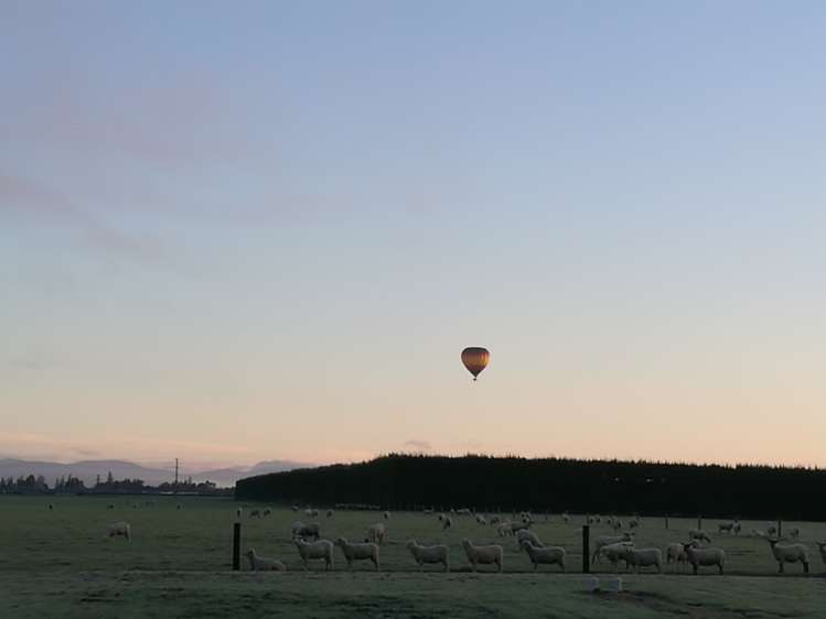 38 Whitcombe Place Darfield_19