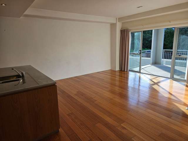210/10 Ronayne Street Auckland Central_1