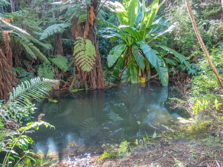 458F Hihi Road Hihi_17